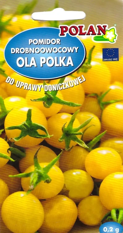 pomidor-ola-polka.webp