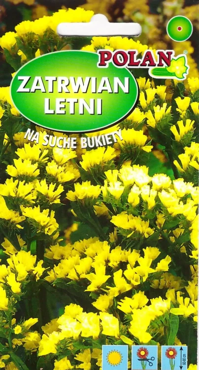 zatrwian-letni-żółty.webp
