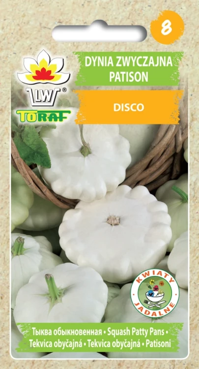 Patison-disco.webp