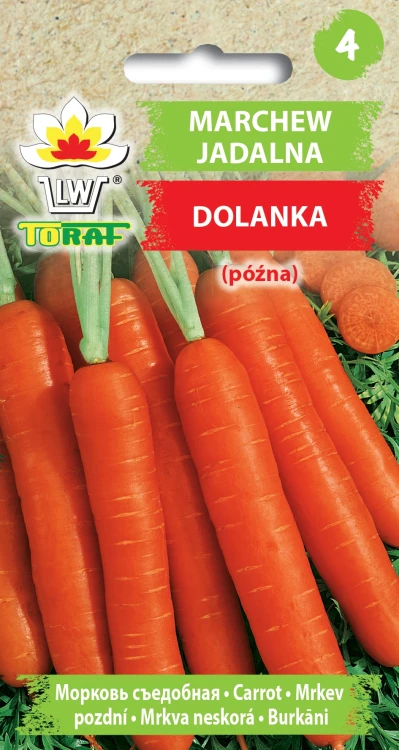 Marchew-Dolanka.webp