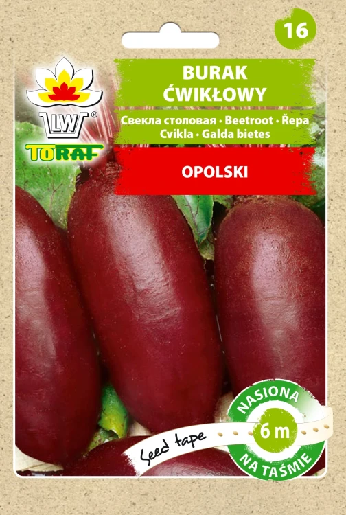 Burak-ćwikłowy-Opolski-NA-TAŚMIE.webp