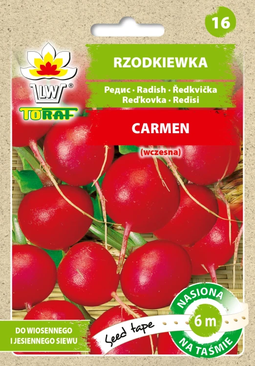 rzodkiewka-carmen-tasma.webp