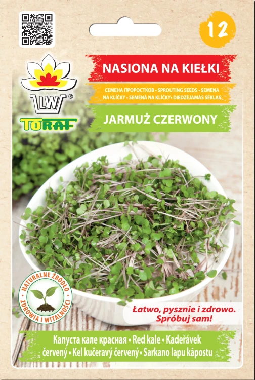 kielki-jarmuz.webp