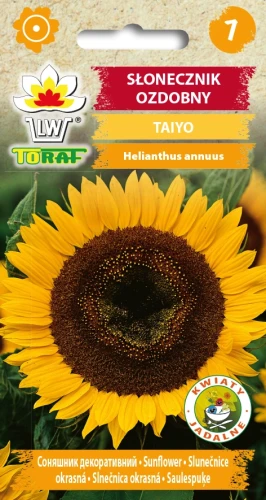 Słonecznik-ozdobny-Taiyo.webp