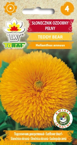 Słonecznik-ozdobny-pełny-Teddy-Bear.webp