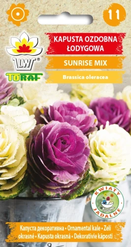 KAPUSTA-OZDOBNA-ŁODYGOWA-SUNRISE-MIX.webp