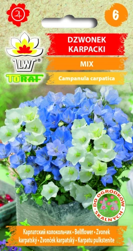 Dzwonek-karpacki.webp