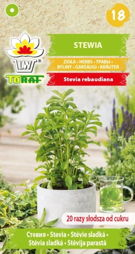 Stewia.webp