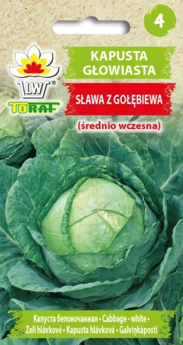 Kapusta-Głowiasta-SŁAWA-Z-GOŁĘBIEWA.webp