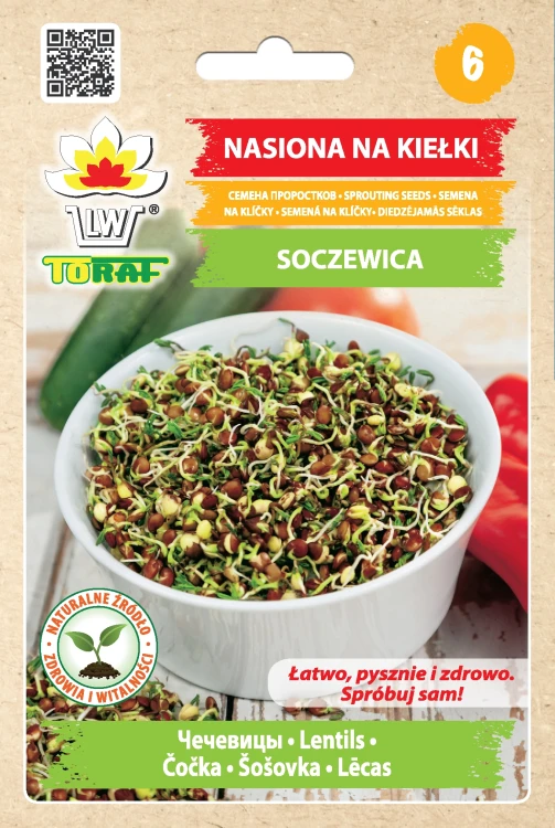 kielki-soczewica.webp