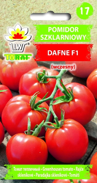 Pomidor-szklarniowy-DAFNE.webp