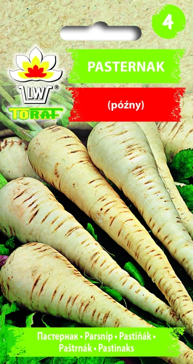 Pasternak.webp