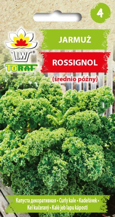 Jarmuż-ROSSIGNOL.webp