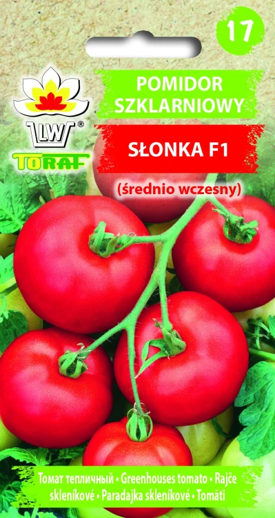 Pomidor-SŁONKA.webp