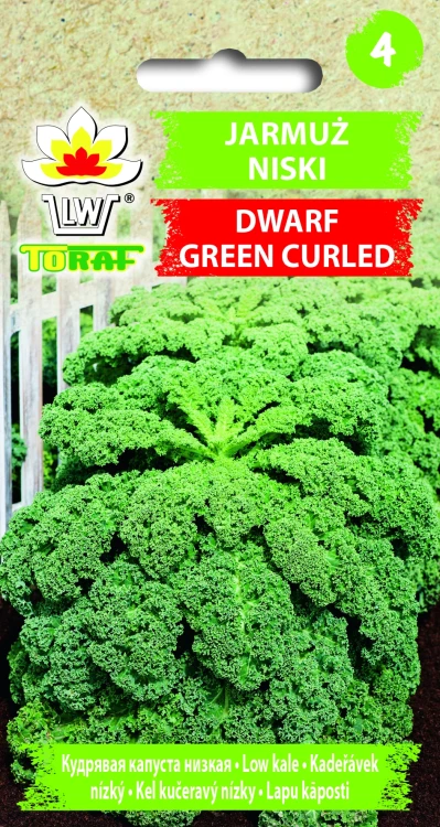 Jarmuż-Dwarf-Green-Curled.webp