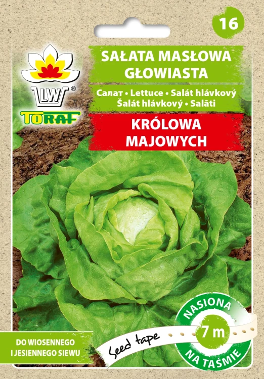 salata-krolowa-majowych-tasma.webp