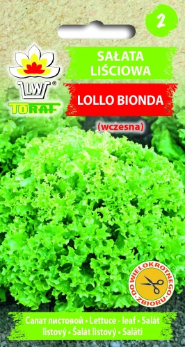 Sałata-LOLLO-BIONDA.webp