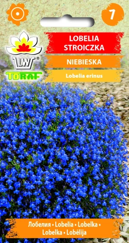Lobelia-stroiczka-NIEBIESKA.webp