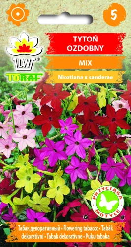 Tytoń-ozdobny-MIX.webp