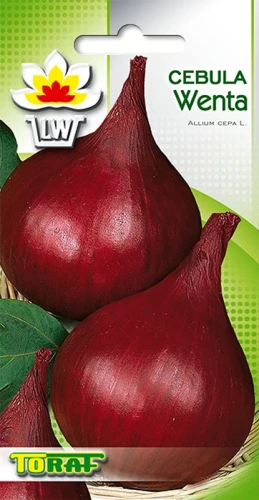 Cebula-WENTA.webp
