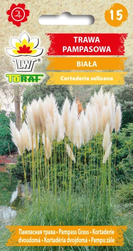 Trawa-pampasowa-BIAŁA.webp