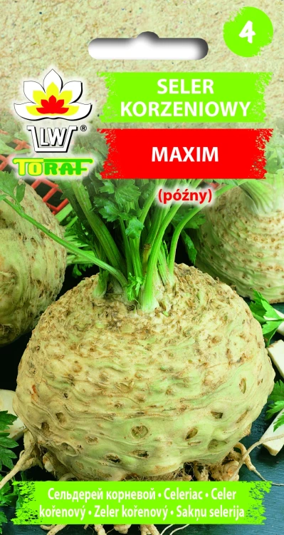 Seler-korzeniowy-MAXIM.webp