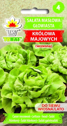 Sałata-KRÓLOWA-MAJOWYCH.webp