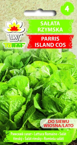 Sałata-rzymska-PARRIS-ISLAND-COS.webp