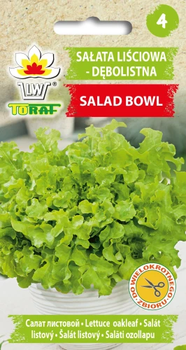 Sałata-SALAD-BOWL.webp