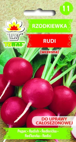 Rzodkiewka-RUDI.webp