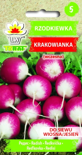 Rzodkiewka-KRAKOWIANKA.webp