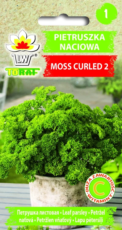 Pietruszka-MOSS-CURLED-2.webp