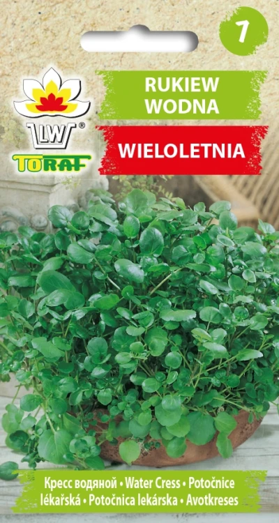 RUKIEW-WODNA.webp