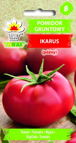 Pomidor-IKARUS.webp