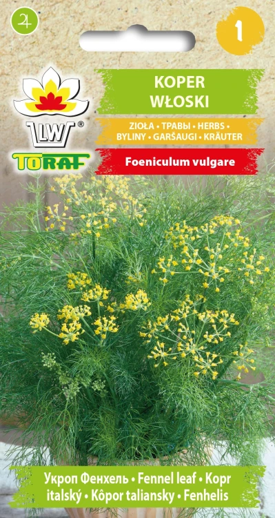Koper-włoski.webp