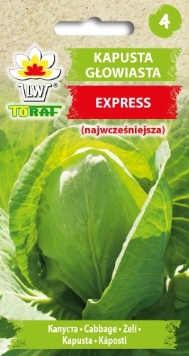 Kapusta-Głowiasta-EXPRESS.webp