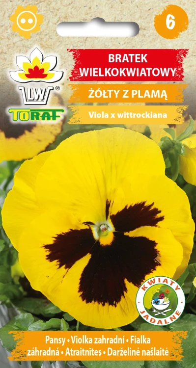 Bratek-wielkokwiatowy-ŻÓŁTY-Z-PLAMĄ.webp