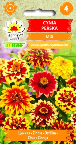 Cynia-perska-MIX.webp