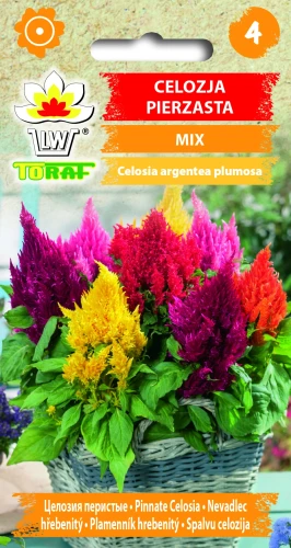 Celozja-pierzasta-MIX.webp
