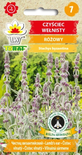 Czyściec-wełnisty.webp
