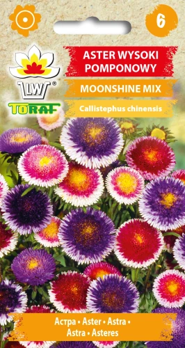 Aster-wysoki-pomponowy-MOONSHINE-MIX.webp