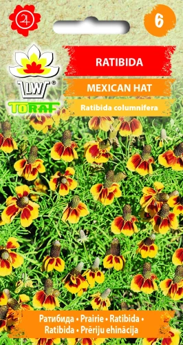 Ratibida-MEXICAN-HAT.webp