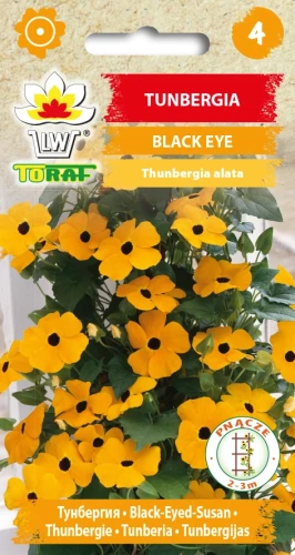TUNBERGIA-BLACK-EYE.webp