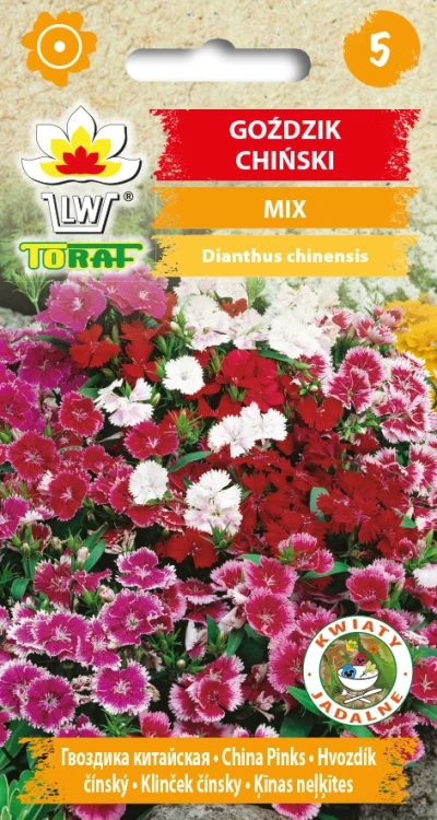 Goździk-CHIŃSKI-MIX.webp