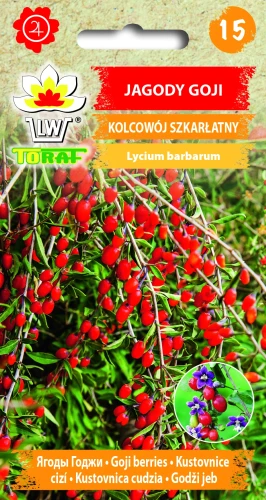 JAGODY-GOJI.webp