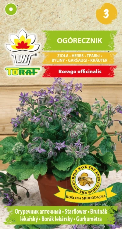 Ogórecznik.webp