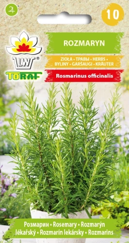 Rozmaryn.webp