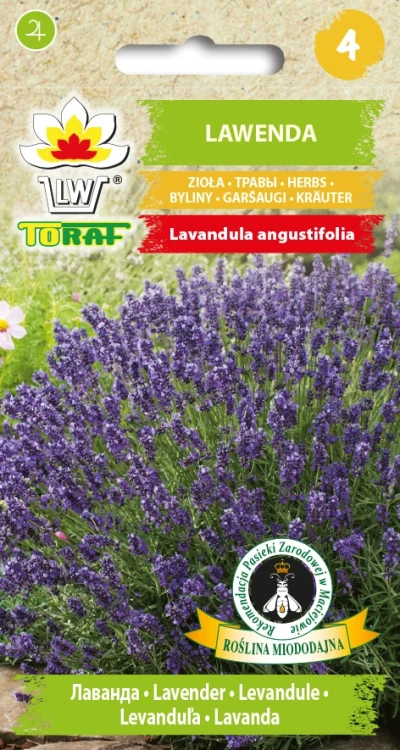 Lawenda.webp