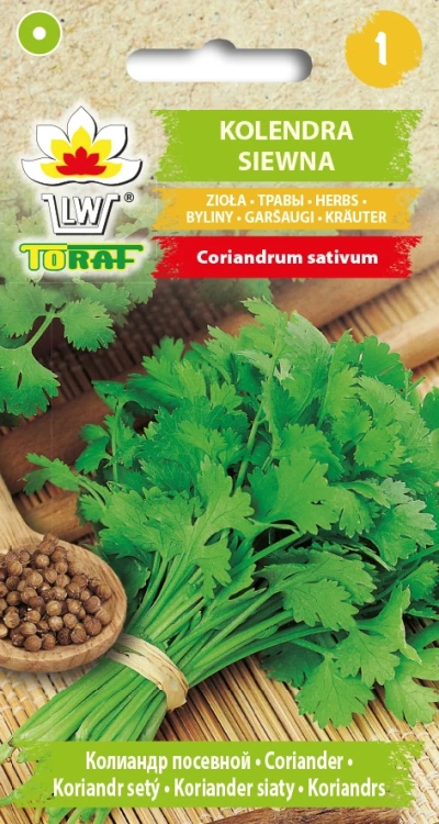 Kolendra-siewna.webp