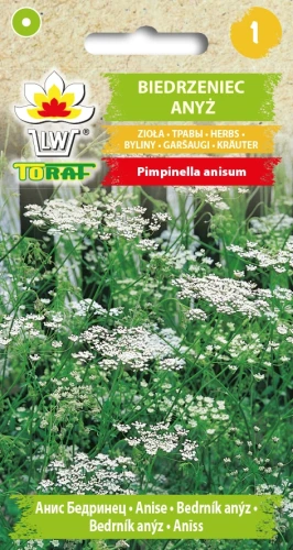 Biedrzeniec-anyż.webp